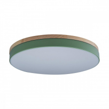 Потолочный светильник Axel 10001/36 Green